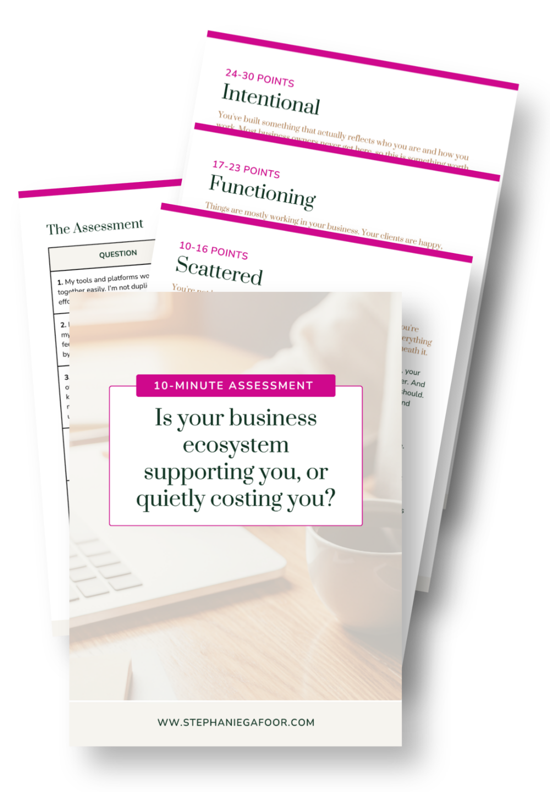 Assessment Mockup new