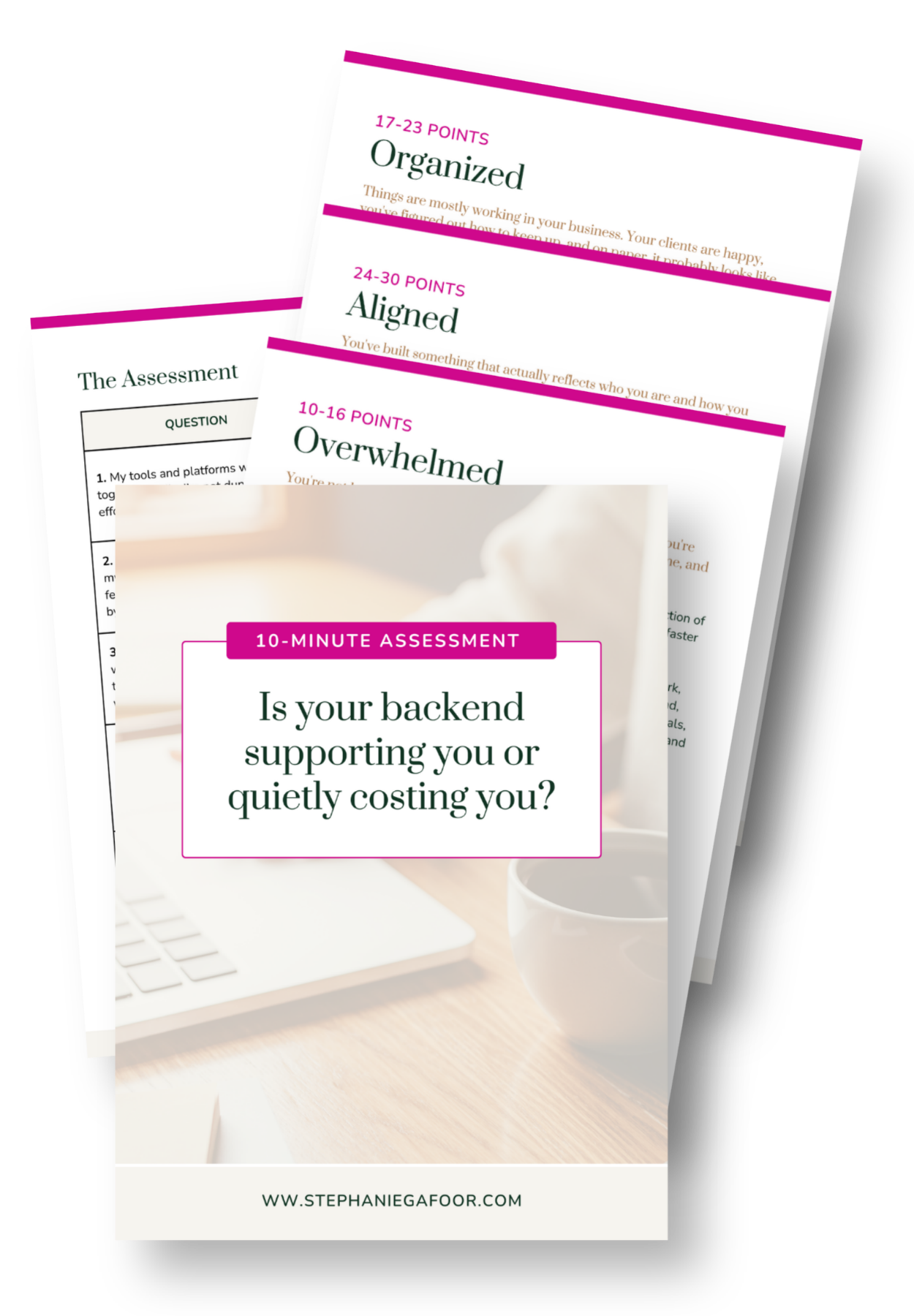 Assessment v.1.2 mockup
