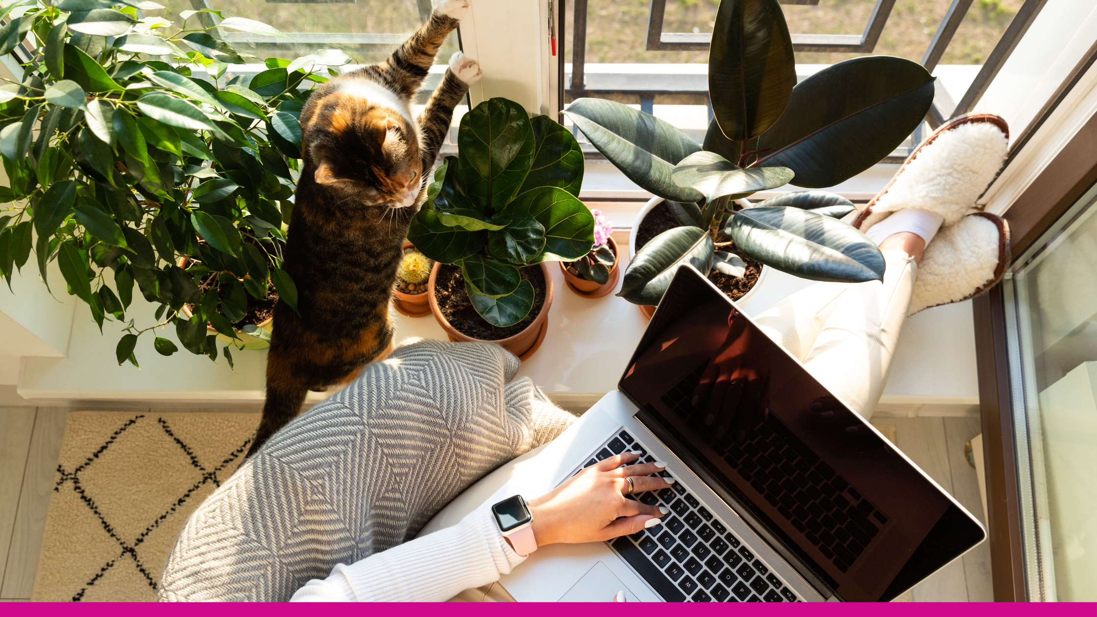 From Burnout to Clarity: Why I Created the Ecosystem Deep Dive